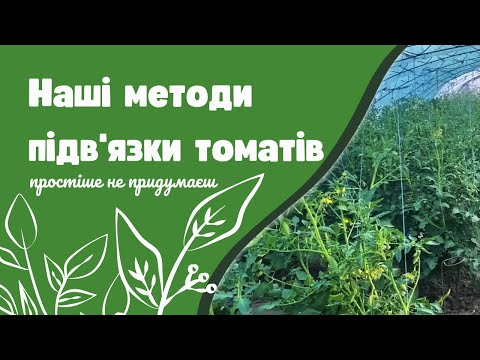 Видео: Наші методи підв'язки томатів. Простіше не придумаєш!