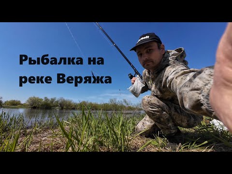 Видео: Рыбалка на реке Веряжа Новгородская область