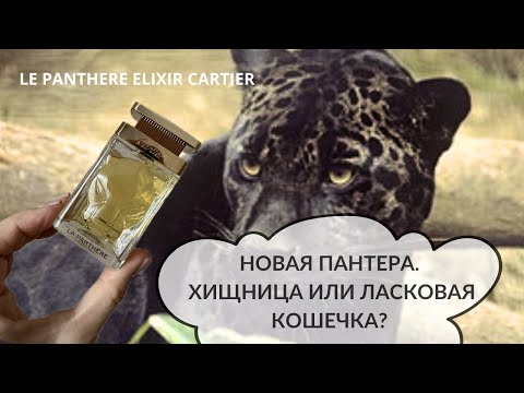 Видео: LA PANTHERE ELIXIR CARTIER. ХИЩНИЦА ИЛИ ЛАСКОВАЯ КОШЕЧКА? #парфюмерныйблогер #panthereelixircartier