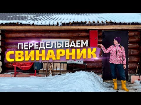 Видео: Любимая работа с животными! Коровы, свиньи, козы, еще и успеваем учиться!