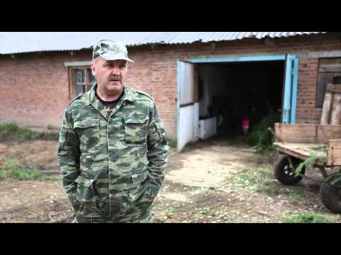 Видео: Маслянино