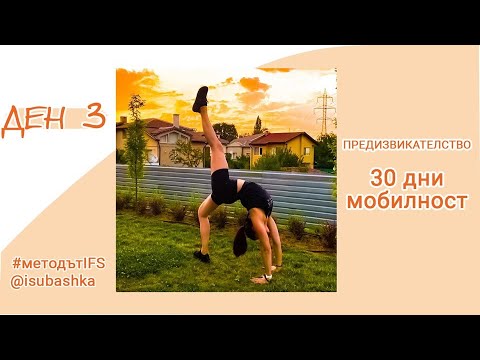 Видео: Ден 3: 30 дни мобилност за мост