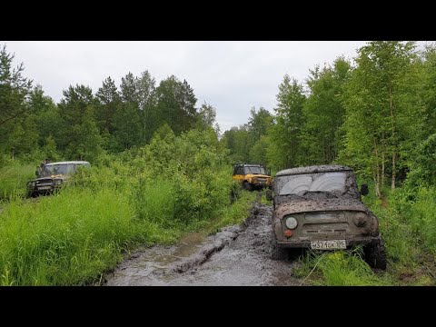 Видео: Попытка прорыва на Адуй.