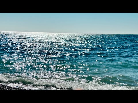 Видео: Анапа - Турция. Lonicera world 4*