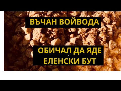 Видео: ВЪЛЧАН ВОЙВОДА Е ОБИЧАЛ ДА ЯДЕ ЕЛЕНСКИ БУТ!