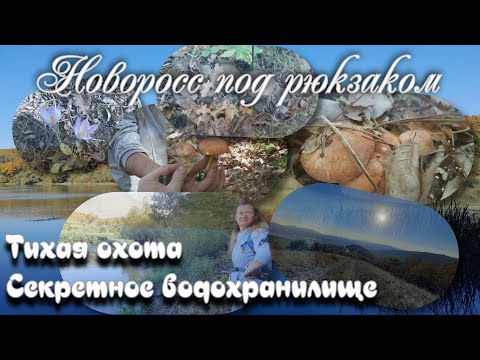 Видео: Тихая охота  Секретное водохранилище