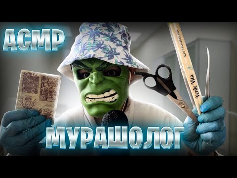 Видео: АСМР МУРАШОЛОГ ПРОВЕРИТ КАК ТЫ РЕАГИРУЕШЬ НА ТРИГГЕРЫ