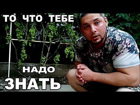 Видео: ВИНОГРАД СУПЕР ЭКСТРА ТО ЧТО ТЕБЕ НАДО ЗНАТЬ ПРИ ЕГО ПОСАДКЕ