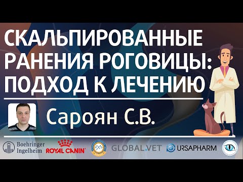 Видео: Скальпированные ранения роговицы