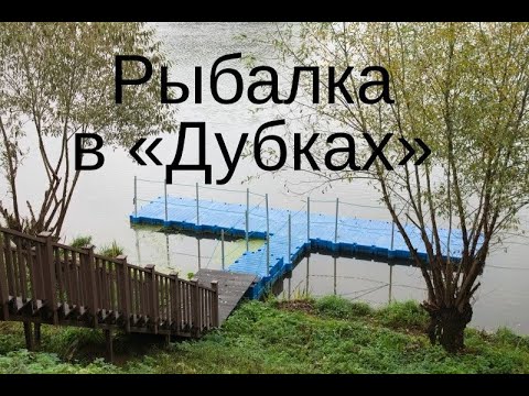 Видео: Рыбалка в «Дубках»