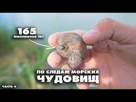 Видео: Древние АКУЛЬИ ЗУБЫ и БЛЕСТЯЩИЕ АММОНИТЫ | Большая экспедиция по следам морских чудовищ | Часть 4