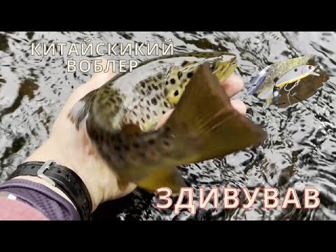 Видео: НЕ ВІРИВ ЩО ЦЕ ПРАЦЮЄ!Китайський воблер зловив ВЕЛИКУ ФОРЕЛЬ!Дика рибалка в лісі!KOSADAKA gravity55s
