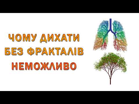 Видео: Чому Легені і Дерева Математично ОПТИМАЛЬНІ?