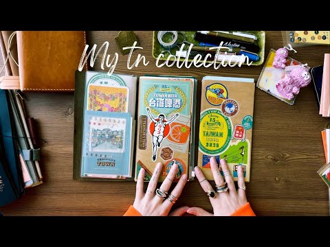 Видео: Моя коллекция блокнотов путешественника и оформление паспорта✨