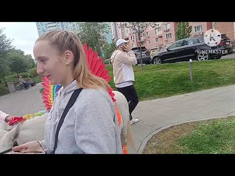 Видео: Катание на тёмно-коричневом коне по имени Талисман в Павшинской Пойме. День города . 21.09.25.
