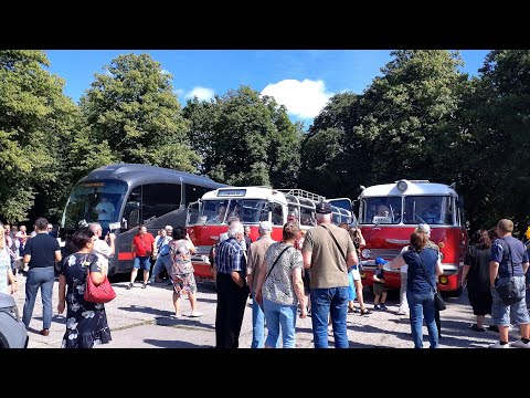 Видео: Ретро-автобусы в Лиепае от компании Lux Express, выставка в парке.