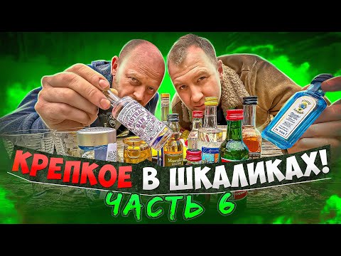 Видео: КРЕПКИЕ ШКАЛИКИ! ТАКОГО МЫ ОЖИДАЛИ!! ЧАСТЬ 6