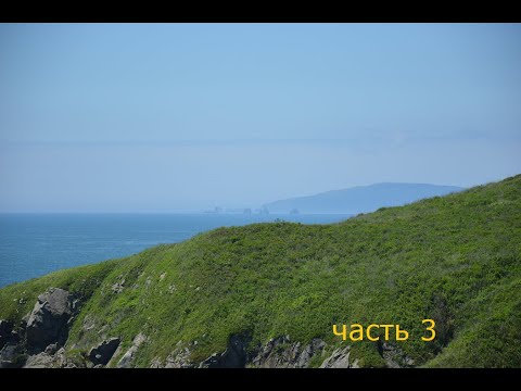 Видео: часть 3 путешествие жарим парной гребешок купаемся в японском море и жарим шашлык аж слюни бегут