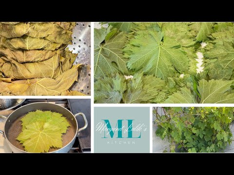 Видео: КАК КОНСЕРВИРОВАТЬ ВИНОГРАДНЫЕ ЛИСТЬЯ