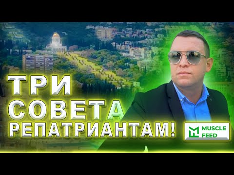 Видео: КАК ПРАВИЛЬНО СНЯТЬ КВАРТИРУ В ХАЙФЕ? | Репатриация в Израиль | Израиль