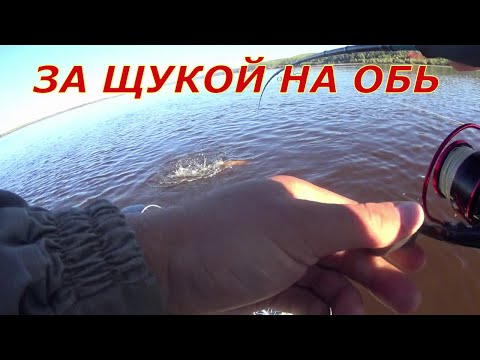 Видео: На Обь в поисках щуки.