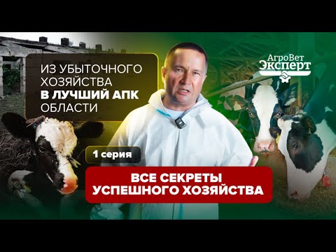 Видео: Из убыточного хозяйства в лучший АПК области.