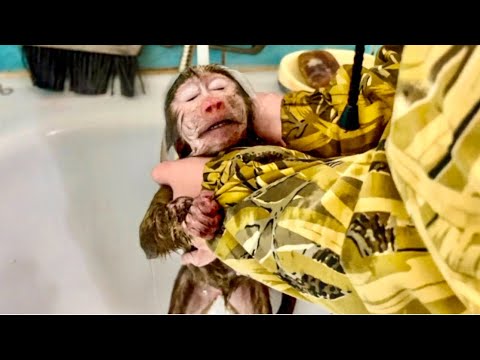 Видео: ОБХОХОЧЕШЬСЯ! Анфисе вроде как местами НРАВИТСЯ КУПАТЬСЯ, но истерику закатить - ЭТО СВЯТОЕ!))