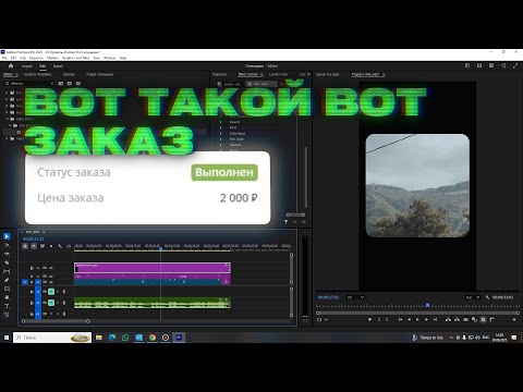 Видео: ВОТ ТАКОЙ ВОТ ЗАКАЗ на Kwork за 2к за простой видеомонтаж в Adobe Premiere