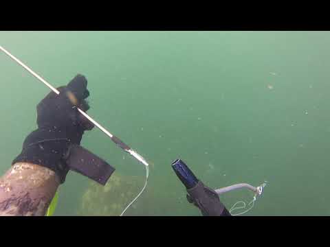 Видео: един прекрасен подводен лов