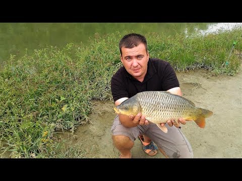 Видео: Рыбалка на реке Сал (Дневник рыболова)