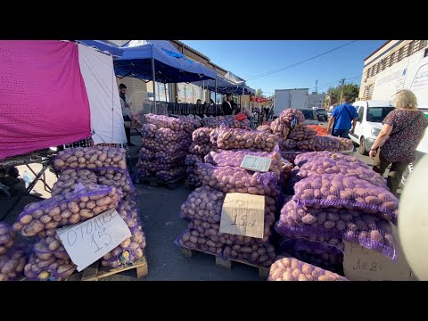 Видео: «Оптові ціни Полтави 15 вересня | Овочі та ягоди з ринку»