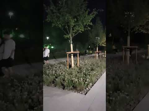 Видео: Озеро Сайран переделали не до конца,изменился.