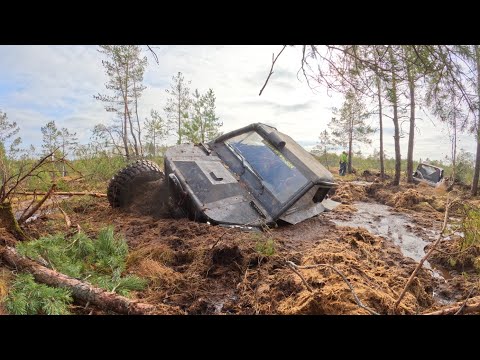 Видео: Енот Трофи 2024 часть 1