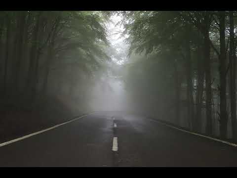 Видео: Роальд Даль. Дорога в рай