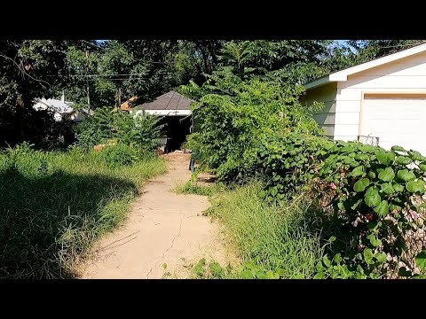 Видео: ШЕРИФ болеет уже несколько недель и не может работать или стричь газон