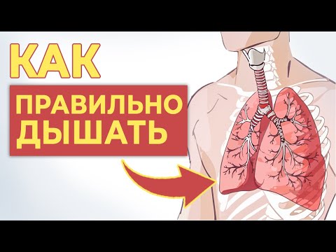 Видео: Как правильно ДЫШАТЬ, чтобы НИЧЕГО НЕ БОЛЕЛО? / Секреты правильного дыхания!