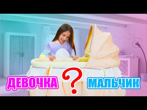 Видео: ДЕВОЧКА или МАЛЬЧИК? Мой День После Школы Влог / Вики Шоу