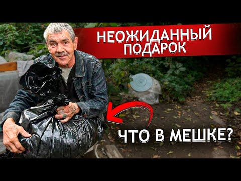 Видео: ТАКОЙ РЕАКЦИИ Я НЕОЖИДАЛА. г.Орел