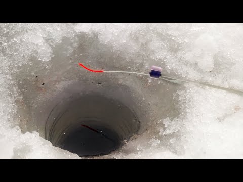 Видео: РЫБАЛКА НА БЕЗМОТЫЛКУ. САМОДЕЛЬНЫЙ ЧЁРТИК ВЫРУЧИЛ.