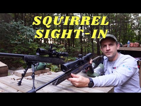 Видео: Как пристрелять винтовку 22LR для охоты на белку