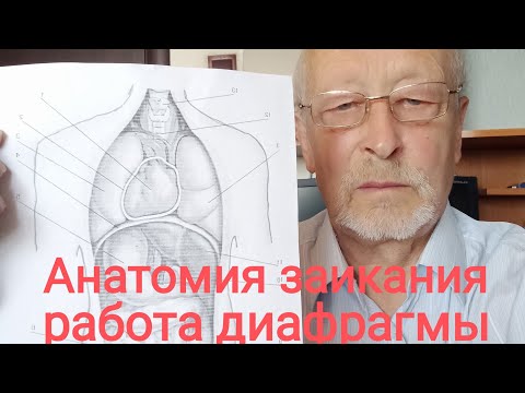 Видео: Подними, не нагружай диафрагму и заикания исчезнут.
