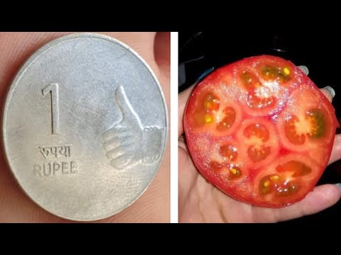 Видео: Фото, которые тебя удивят (62 часть)