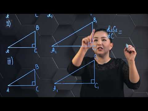Видео: Тікбұрышты үшбұрыштардың ұқсастық белгілері. 9 сынып.