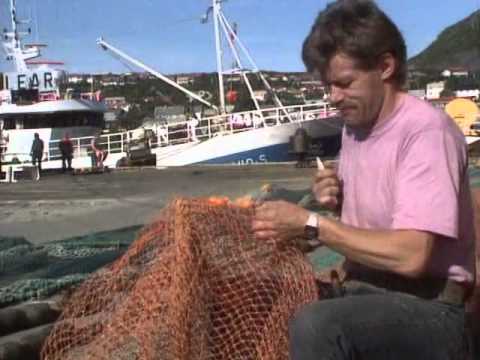 Видео: Норвегия. Золотой глобус - 72