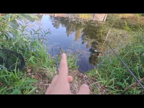 Видео: Первая рыбалка на канале (без трофеев) 1 часть