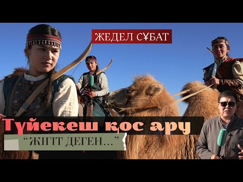 Видео: ТАҢ ҚАЛДЫРҒАН ҚОС АРУ  "ШАБА АЛМАЙТЫН ЖІГІТ ДЕП БӨЛМЕЙМІЗ"! / СОЗАҚТАҒЫ ТҮЙЕ ЖАРЫС !