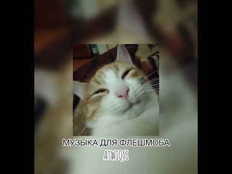 Видео: музыка для флешмоба💝