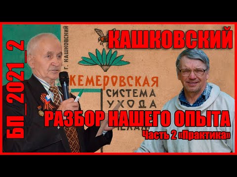 Видео: Кашковский, Пасека Лаврова и свищевые матки. Разбираемся, почему у НАС не получилось. Часть 2.