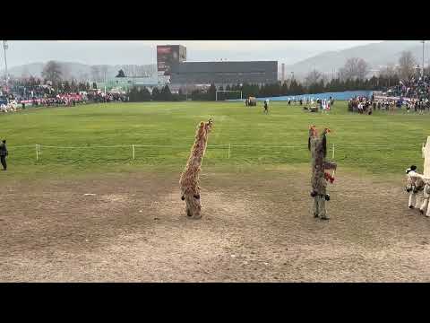 Видео: Кукерски карнавал Симитли 2023 - Брежани