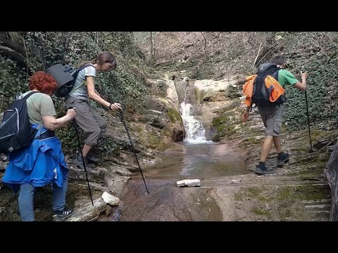 Видео: Поход выходного дня в окрестностях посёлка Пшада (28 марта 2025 г.)